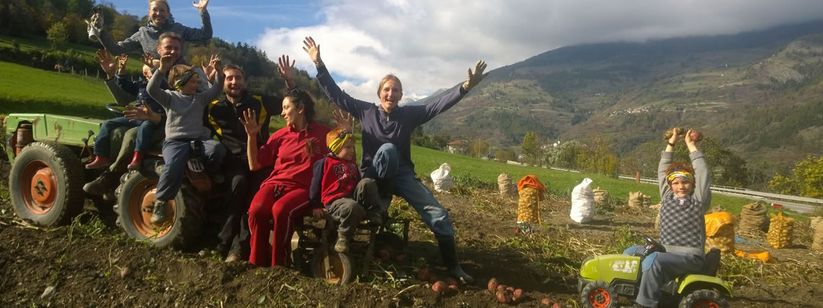 Maison Agricole - Maison Bondaz Maison Agricole - Maison Bondaz