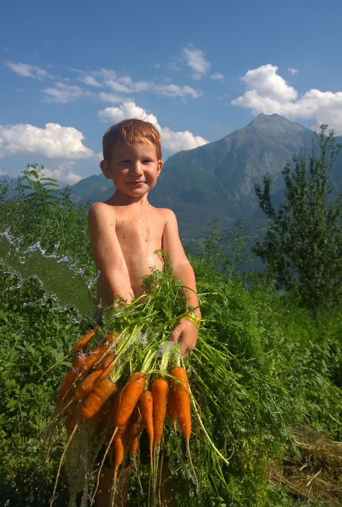 Maison Agricole - Maison Bondaz Maison Agricole - Maison Bondaz