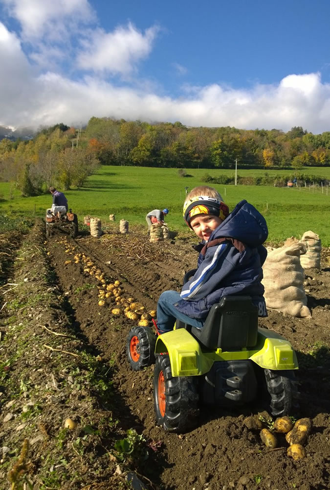 Maison Agricole - Maison Bondaz Maison Agricole - Maison Bondaz